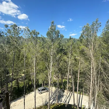 Kseal Ξενοδοχείο Πρεμετή